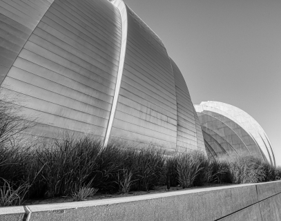 Kauffman Kauffman