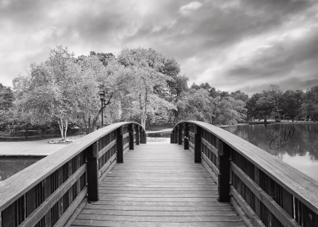 Loose Park over the bridge