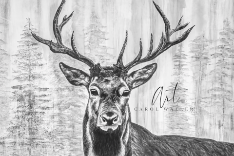 Woodland Whispers in Black and White