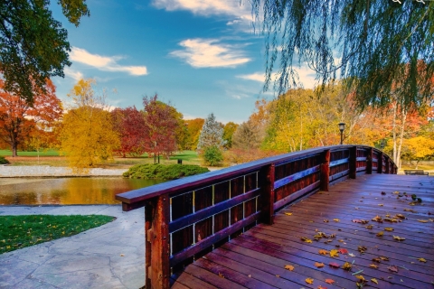 Autumn's Tapestry Autumn's Tapestry