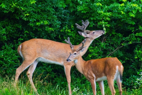 Dad and Me Dad and Me