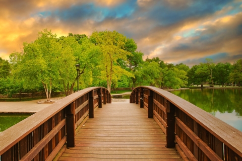 Dare To Dream Dare To Dream